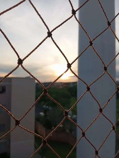 Alugar Apartamento / Padr&atilde;o em S&atilde;o Jos&eacute; do Rio Preto R$ 1.100,00 - Foto 9