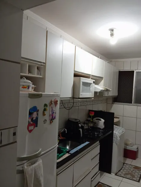 Alugar Apartamento / Padr&atilde;o em S&atilde;o Jos&eacute; do Rio Preto R$ 1.100,00 - Foto 4