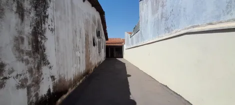 Alugar Casa / Padr&atilde;o em S&atilde;o Jos&eacute; do Rio Preto R$ 1.200,00 - Foto 17