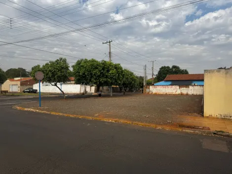 Comprar Terreno / Padr&atilde;o em Cardoso R$ 250.000,00 - Foto 4