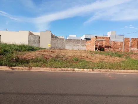 Alugar Terreno / Padr&atilde;o em S&atilde;o Jos&eacute; do Rio Preto. apenas R$ 150.000,00
