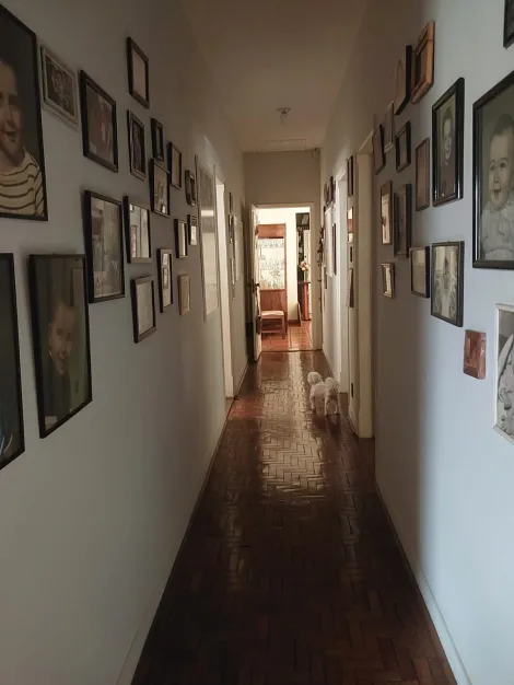 Comprar Casa / Padr&atilde;o em S&atilde;o Jos&eacute; do Rio Preto R$ 2.200.000,00 - Foto 13