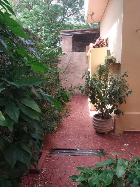 Comprar Casa / Padr&atilde;o em S&atilde;o Jos&eacute; do Rio Preto R$ 2.200.000,00 - Foto 21