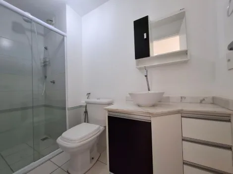 Alugar Apartamento / Padr&atilde;o em S&atilde;o Jos&eacute; do Rio Preto R$ 2.500,00 - Foto 10