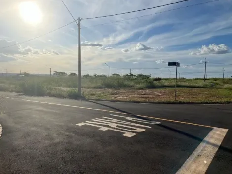 Terreno / Padr&atilde;o em S&atilde;o Jos&eacute; do Rio Preto 