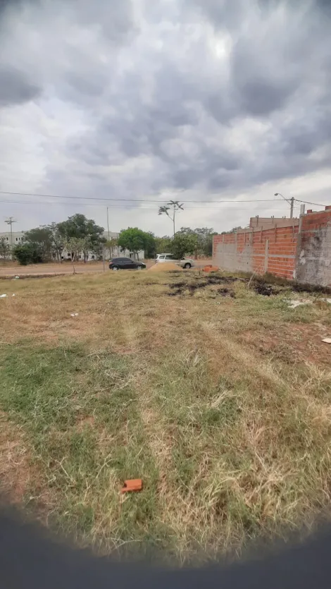 Terreno / Padr&atilde;o em S&atilde;o Jos&eacute; do Rio Preto 