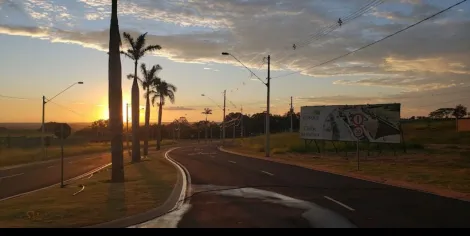 Comprar Terreno / Condom&iacute;nio em Bady Bassitt R$ 195.000,00 - Foto 2