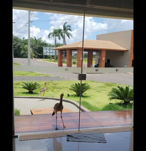 Comprar Terreno / Condom&iacute;nio em Bady Bassitt R$ 195.000,00 - Foto 3
