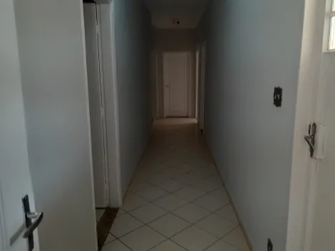 Alugar Casa / Padr&atilde;o em S&atilde;o Jos&eacute; do Rio Preto R$ 3.500,00 - Foto 18