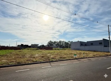 Alugar Terreno / Padr&atilde;o em S&atilde;o Jos&eacute; do Rio Preto. apenas R$ 298.000,00