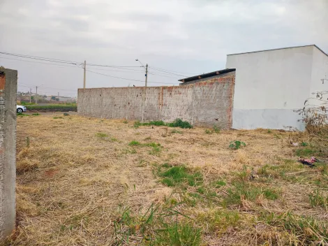 Alugar Terreno / Padr&atilde;o em Bady Bassitt. apenas R$ 90.000,00
