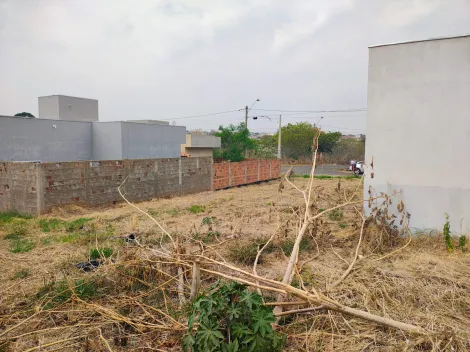 Comprar Terreno / Padr&atilde;o em Bady Bassitt R$ 90.000,00 - Foto 2