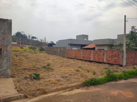 Comprar Terreno / Padr&atilde;o em Bady Bassitt R$ 90.000,00 - Foto 3