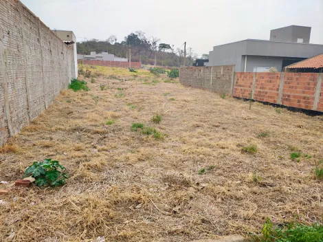 Comprar Terreno / Padr&atilde;o em Bady Bassitt R$ 90.000,00 - Foto 4