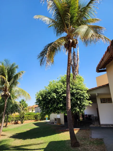 Rural / Rancho em Fronteira 