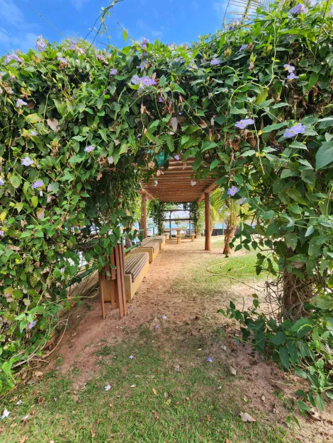 Comprar Rural / Rancho em Fronteira R$ 1.400.000,00 - Foto 36