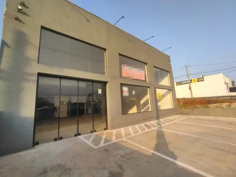 Comercial / Sal&atilde;o em S&atilde;o Jos&eacute; do Rio Preto 