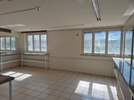 Alugar Comercial / Pr&eacute;dio Inteiro em S&atilde;o Jos&eacute; do Rio Preto R$ 10.000,00 - Foto 10