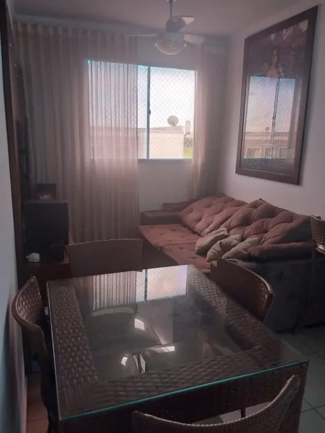 Alugar Apartamento / Padr&atilde;o em S&atilde;o Jos&eacute; do Rio Preto. apenas R$ 1.200,00