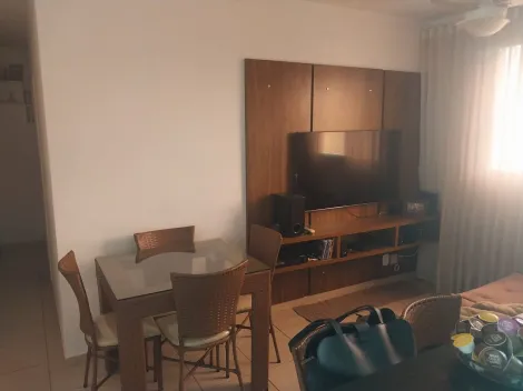 Alugar Apartamento / Padr&atilde;o em S&atilde;o Jos&eacute; do Rio Preto R$ 1.200,00 - Foto 2