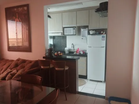 Alugar Apartamento / Padr&atilde;o em S&atilde;o Jos&eacute; do Rio Preto R$ 1.200,00 - Foto 3