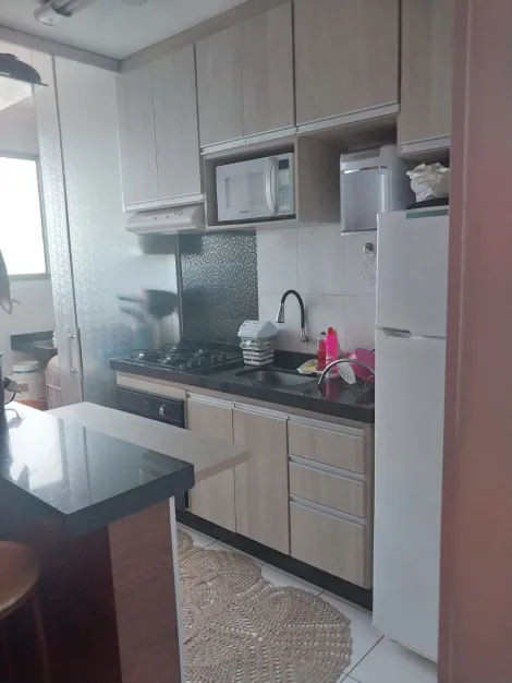 Alugar Apartamento / Padr&atilde;o em S&atilde;o Jos&eacute; do Rio Preto R$ 1.200,00 - Foto 4