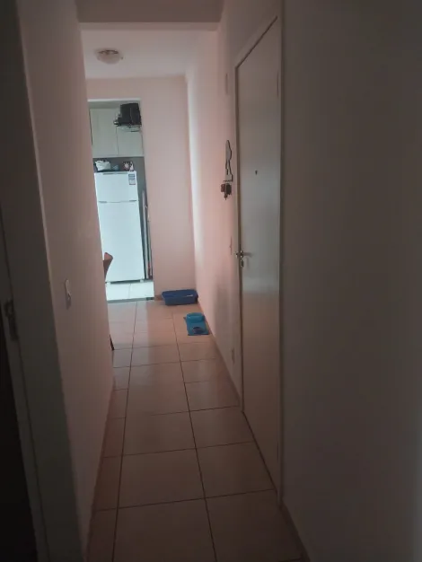 Alugar Apartamento / Padr&atilde;o em S&atilde;o Jos&eacute; do Rio Preto R$ 1.200,00 - Foto 6
