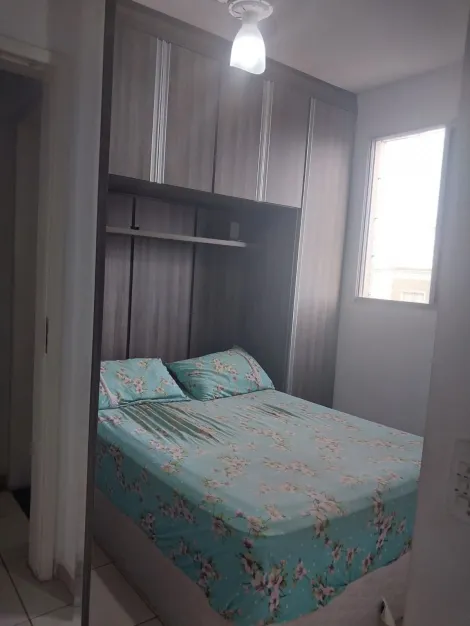 Alugar Apartamento / Padr&atilde;o em S&atilde;o Jos&eacute; do Rio Preto R$ 1.200,00 - Foto 10