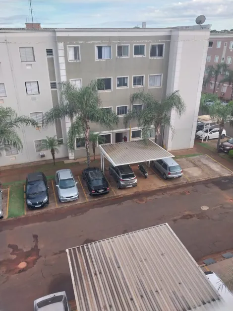 Alugar Apartamento / Padr&atilde;o em S&atilde;o Jos&eacute; do Rio Preto R$ 1.200,00 - Foto 12