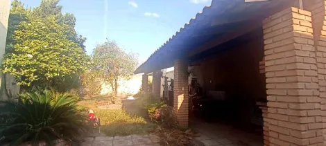 Comprar Casa / Padr&atilde;o em S&atilde;o Jos&eacute; do Rio Preto R$ 800.000,00 - Foto 36