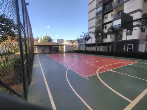 Alugar Apartamento / Padr&atilde;o em S&atilde;o Jos&eacute; do Rio Preto R$ 1.500,00 - Foto 17