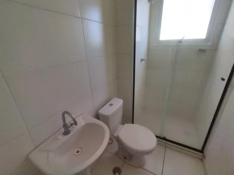 Alugar Apartamento / Padr&atilde;o em S&atilde;o Jos&eacute; do Rio Preto R$ 1.500,00 - Foto 13