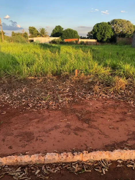 Terreno / Padr&atilde;o em Paranapu&atilde; 