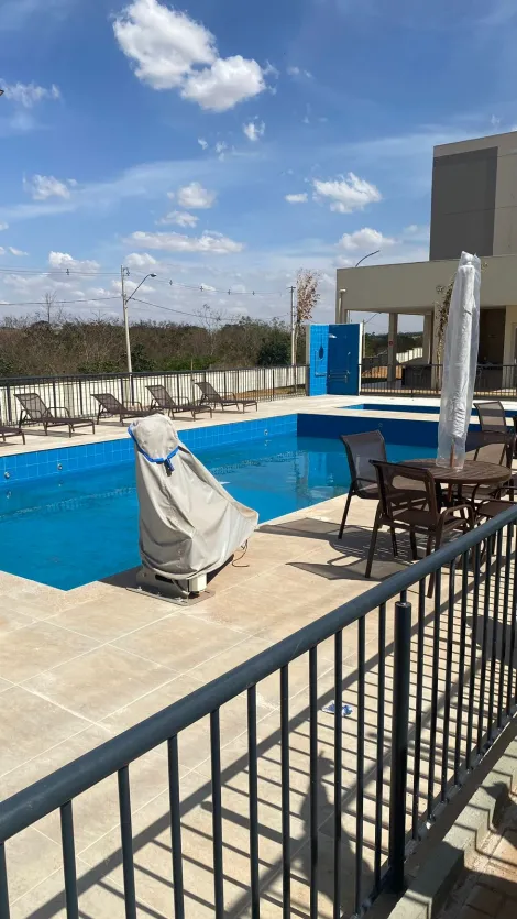 Alugar Apartamento / Padr&atilde;o em S&atilde;o Jos&eacute; do Rio Preto R$ 1.200,00 - Foto 16