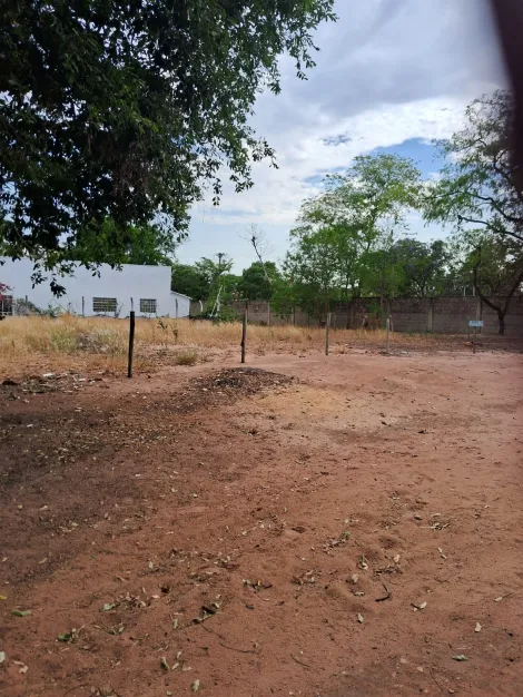 Comprar Terreno / Condom&iacute;nio em Buritama R$ 70.000,00 - Foto 2