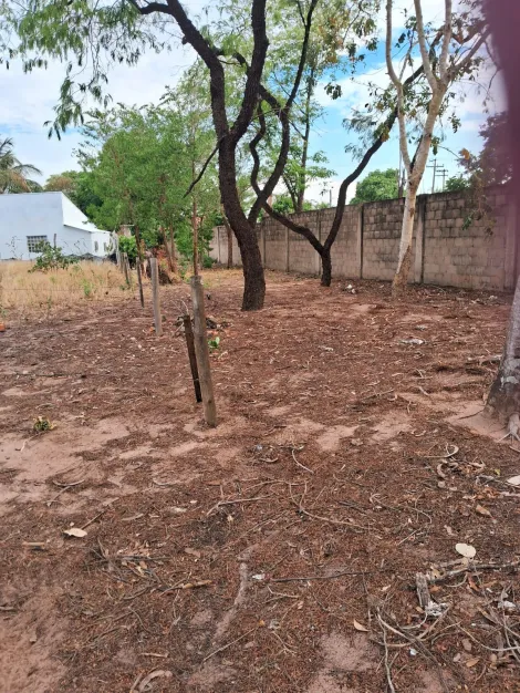 Comprar Terreno / Condom&iacute;nio em Buritama R$ 70.000,00 - Foto 4
