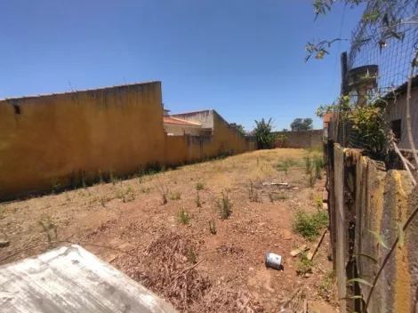 Comprar Terreno / Padr&atilde;o em S&atilde;o Jos&eacute; do Rio Preto R$ 380.000,00 - Foto 5