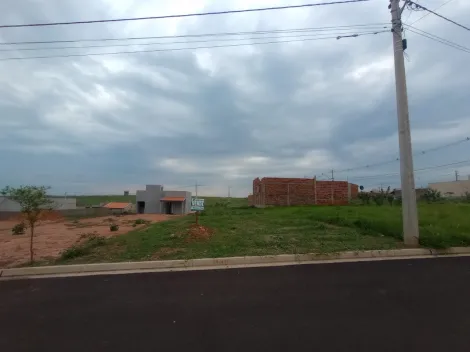 Comprar Terreno / Padr&atilde;o em S&atilde;o Jos&eacute; do Rio Preto R$ 92.000,00 - Foto 2
