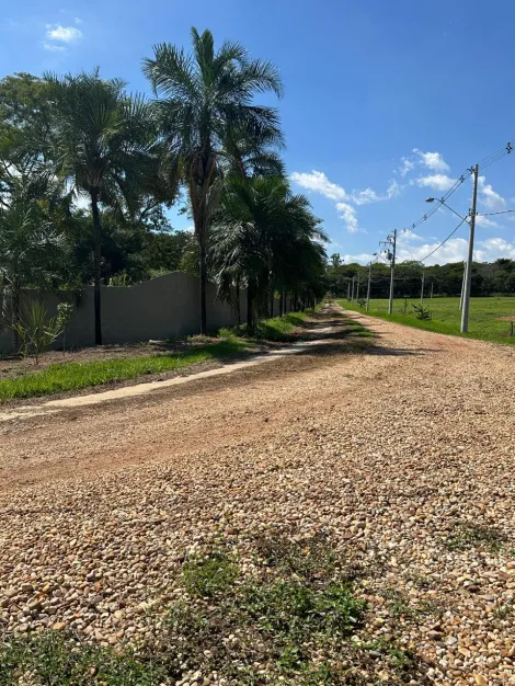 Terreno / Condom&iacute;nio em Zacarias 