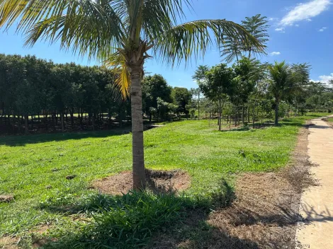 Comprar Terreno / Condom&iacute;nio em Zacarias R$ 165.000,00 - Foto 8