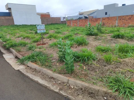 Comprar Terreno / Padr&atilde;o em S&atilde;o Jos&eacute; do Rio Preto R$ 220.000,00 - Foto 4
