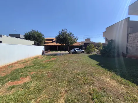 Terreno / Condom&iacute;nio em Bady Bassitt 