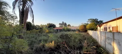 Terreno / Condom&iacute;nio em S&atilde;o Jos&eacute; do Rio Preto 