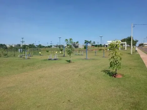 Comprar Terreno / Condom&iacute;nio em Ipigu&aacute; R$ 100.000,00 - Foto 2