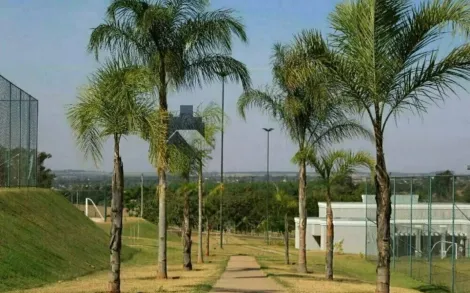 Comprar Terreno / Condom&iacute;nio em Ipigu&aacute; R$ 100.000,00 - Foto 9