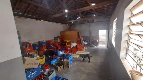 Comprar Comercial / Sal&atilde;o em S&atilde;o Jos&eacute; do Rio Preto R$ 700.000,00 - Foto 5