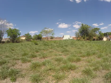 Comprar Terreno / &Aacute;rea em S&atilde;o Jos&eacute; do Rio Preto R$ 2.000.000,00 - Foto 14