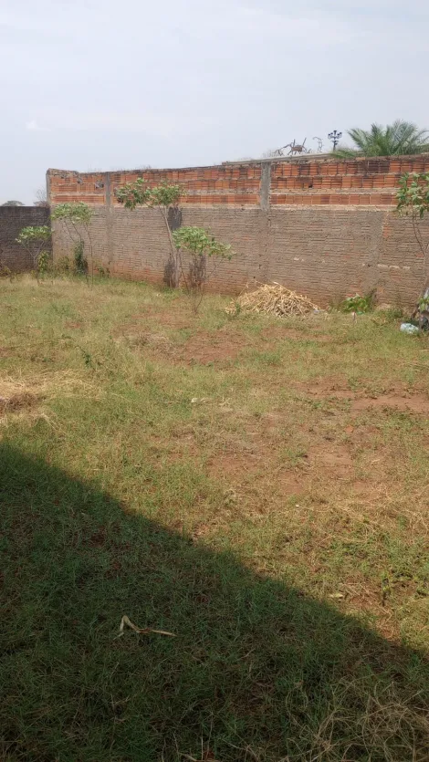 Comprar Rural / Ch&aacute;cara em Cedral R$ 370.000,00 - Foto 13