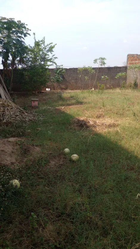 Comprar Rural / Ch&aacute;cara em Cedral R$ 370.000,00 - Foto 14