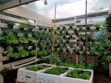 Alugar Casa / Condom&iacute;nio em S&atilde;o Jos&eacute; do Rio Preto R$ 1.200,00 - Foto 15
